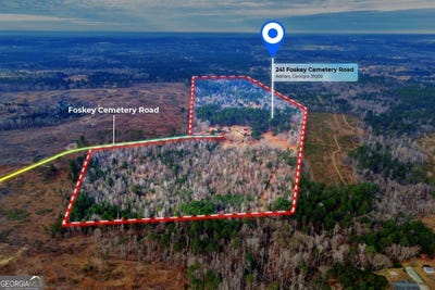/international/us/241-foskey-cemetary-road-adrian-ga-110107715786/