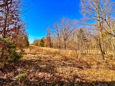 /international/us/e-1140-road-lot-1-porum-ok-110104976199/