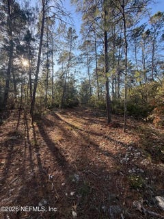 /international/us/210-morningside-drive-florahome-fl-110105022387/