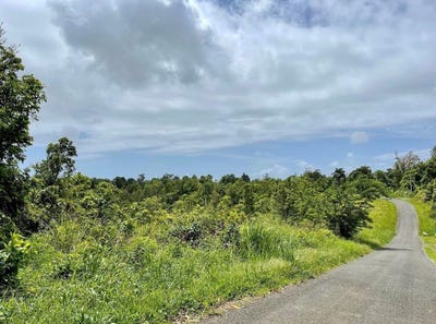 /international/us/975-ceiba-bo-rio-abajo-ceiba-pr-110101070607/