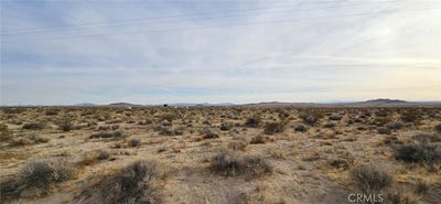 /international/us/800-grass-hopper-near-hinkley-ca-110101436410/?lang=zh-tw