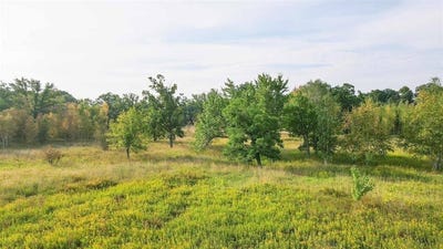 /international/us/60-acres-county-road-ii-rudolph-wi-110101394253/?lang=zh-tw