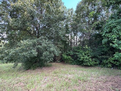 /international/us/95-red-wolf-lane-brookeland-tx-110105929737/