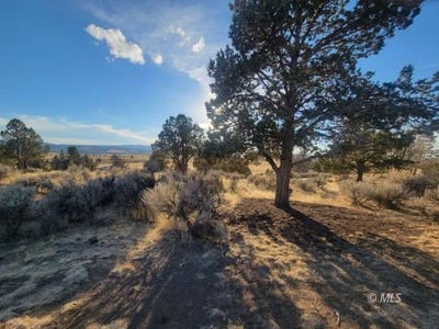 /international/us/pumice-rd-alturas-ca-110095412950/