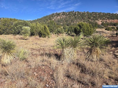 /international/us/20-dewey-avenue-silver-city-nm-110108077361/