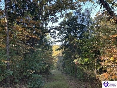 /international/us/272-valley-creek-road-battletown-ky-110120464553/