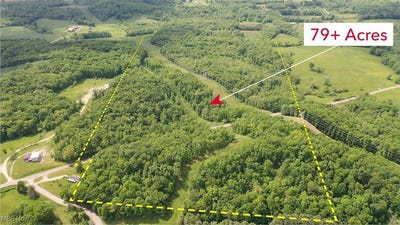 /international/us/5073-salineville-road-ne-carrollton-oh-110099987188/