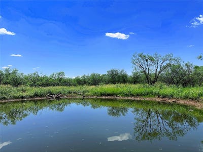/international/us/tbd-west-tract-county-road-356-anson-tx-110108230382/