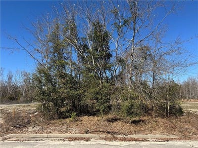 /international/us/meadowbrook-street-ga-110105950878/
