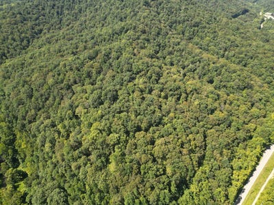 /international/us/0-honey-camp-road-nellis-wv-110101458589/?lang=zh-cn