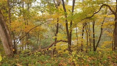 /international/us/0003-145th-street-earlham-ia-110090855865/