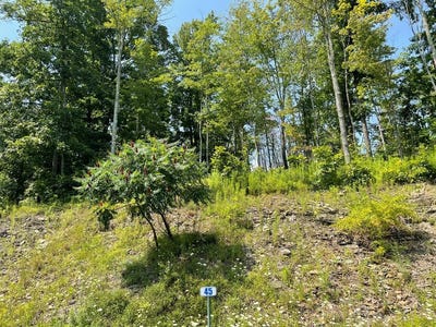 /international/us/lot-45-hemlock-hills-rd-towanda-pa-110090761066/