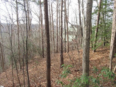 /international/us/lone-rock-court-lot-10-whispering-falls-pickens-sc-110104813345/