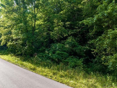 /international/us/stockton-creek-rd-wallingford-ky-110102581133/