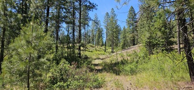 /international/us/20x-lynx-creek-rd-inchelium-wa-110104995593/