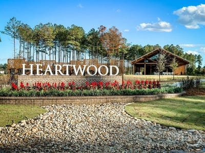 /international/us/1095-heartwood-avenue-richmond-hill-ga-110120802270/