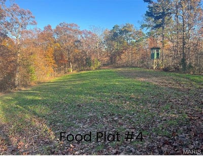 /international/us/0-tract-1-160-acres-lodge-road-potosi-mo-110099078243/