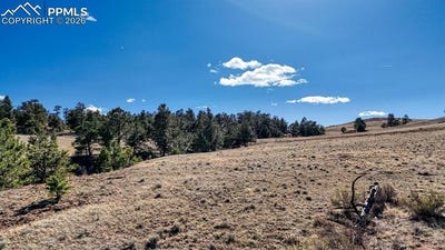 /international/us/l5090l5097-arikara-trail-hartsel-co-110107419567/