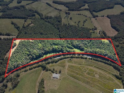 /international/us/40-acres-county-road-457-lot-40-acres-woodland-al-110120042299/