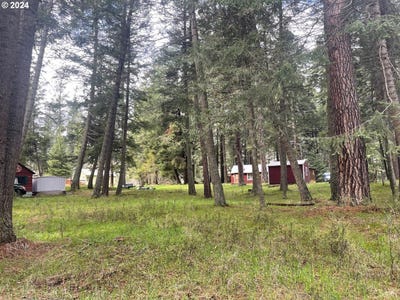 /international/us/wallowa-lake-highway-wallowalake-or-110101502973/