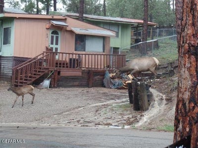 /international/us/217-juniper-road-ruidoso-nm-110104838471/