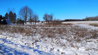 /international/us/lt3-carstens-lake-rd-manitowoc-wi-110104496642/