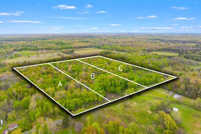 /international/us/v-l-102nd-avenue-grand-junction-mi-110108064773/