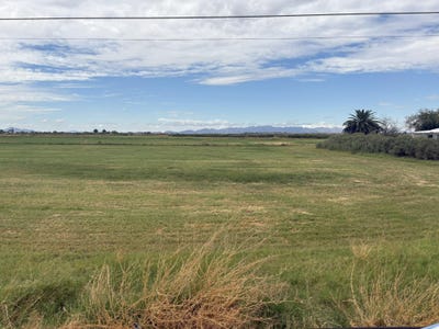 /international/us/142-water-toll-acres-blythe-ca-110120454367/