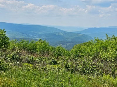 /international/us/1891-jack-mountain-road-monterey-va-110100193513/