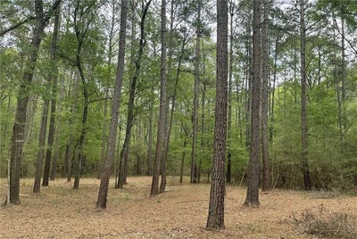 /international/us/remington-road-lot-2-3-huntsville-tx-110107553499/