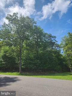 /international/us/lot-53-mountainview-drive-oakland-md-110101215491/