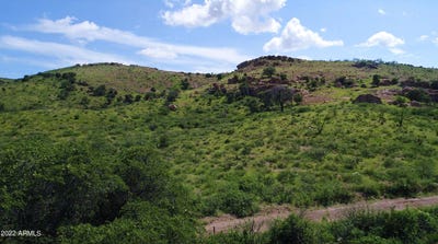 /international/us/lot-41-n-hidden-oaks-trail-39-acres-douglas-az-110100693786/?lang=en