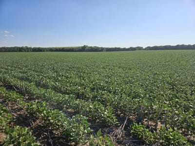 /international/us/0001-16th-road-ellsworth-ks-110099981369/?lang=zh-cn