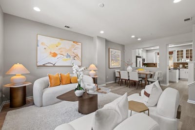 /international/us/993-luz-del-sol-loop-milpitas-ca-110108696972/