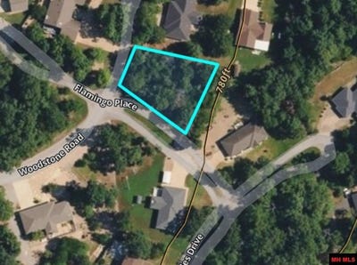 /international/us/woodstone-road-lot-2-bull-shoals-ar-110110103924/