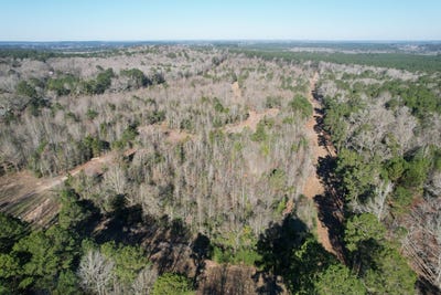 /international/us/county-road-4919-timpson-tx-110105038760/