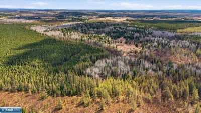 /international/us/8849-hwy-25-angora-mn-110108096048/