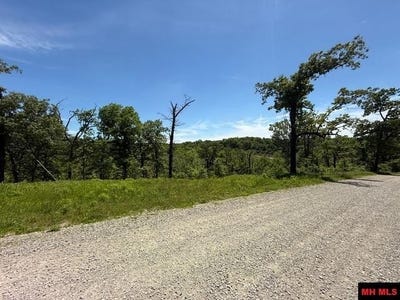 /international/us/5714-old-arkana-road-lot-cr-54-mountain-home-ar-110108627818/