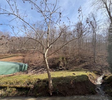 /international/us/0-benton-fork-rd-canada-ky-110105875422/