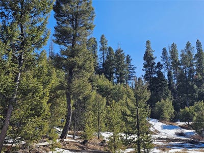 /international/us/nhn-elk-horn-road-helmville-mt-110107805335/