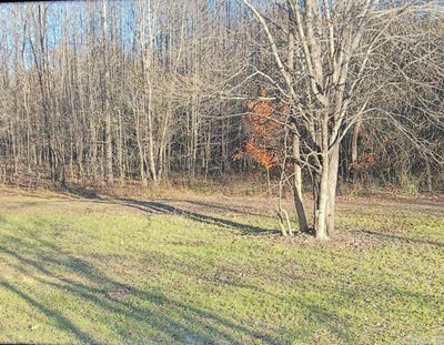 /international/us/1230-industrial-park-rd-heber-springs-ar-110106315814/