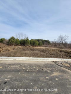 /international/us/4305-gisbourne-lane-lansing-mi-110108709534/