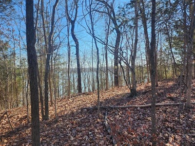 /international/us/parkview-shores-rd-cadiz-ky-110097090058/