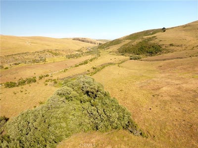 /international/us/0-ca-1-cayucos-ca-110099873199/