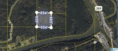 /international/us/89-vines-camp-drive-lot-0-quinton-al-110091408135/