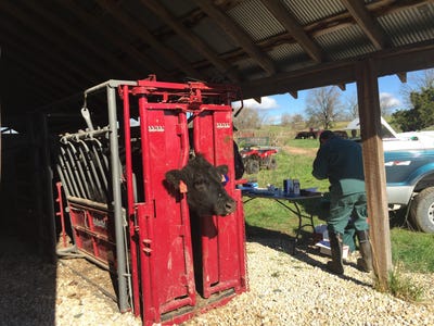 /international/us/tbd-county-road-4030-rolla-mo-110100920765/?lang=zh-tw