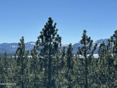 /international/us/133-holly-lane-stateline-nv-110106788112/