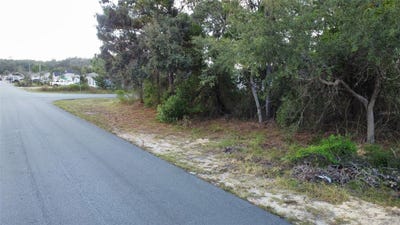/international/us/3300-alcan-avenue-spring-hill-fl-110102614083/