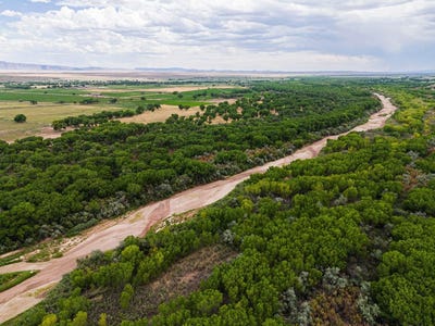 /international/us/new-mexico-116-bosque-nm-110109444567/