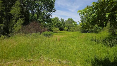 /international/us/186-township-road-209-marengo-oh-110108439491/
